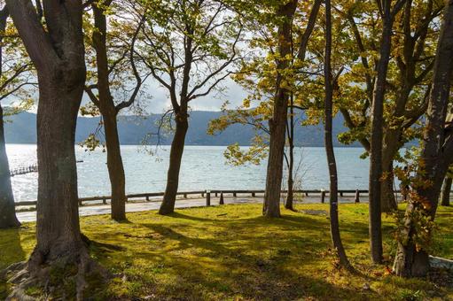 紅葉の十和田湖畔 十和田湖畔,十和田湖,紅葉の写真素材