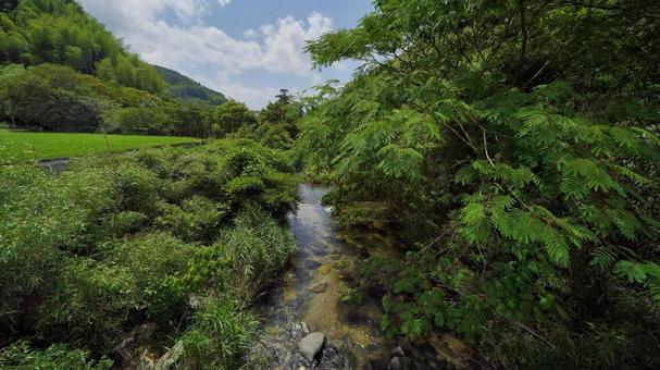 小川 小川,自然,田舎の写真素材