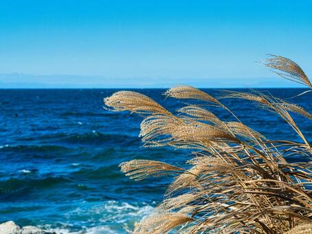 海辺 海岸,海辺,海の写真素材