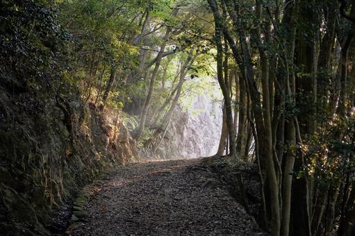 Photo, tsushima, kaneda castle ruins, historical site, 