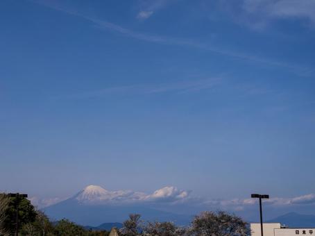 Photo, fuji mountain, nippairaira, mountain, 