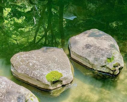 水面に映る木々と飛び石 水面に映る木々と飛び石 水面,飛び石,岩の写真素材