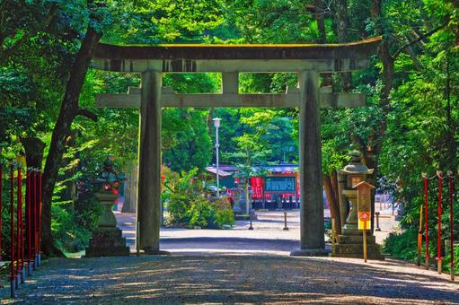 木漏れ日降り注ぐ静寂な森の石造りの鳥居 神社,鳥居,日本の写真素材