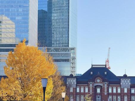東京駅丸の内口と色づいたイチョウ オフィス,ビジネス,高層ビルの写真素材