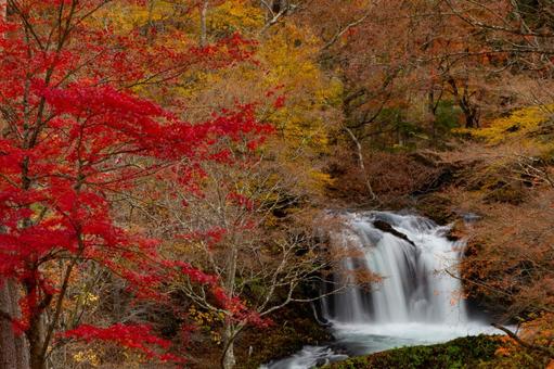 紅葉と滝 紅葉と滝の写真