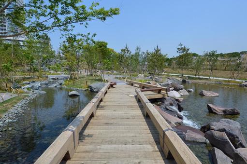 まっすぐ伸びる池の上の橋 まっすぐ伸びる池の上の橋 二子玉川公園,池,飛び石の写真素材