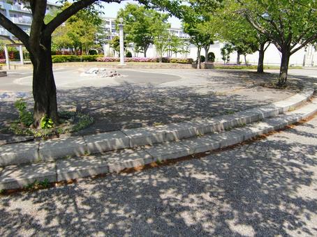 公園の木と影-2 公園の木と影-2の写真