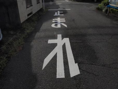 止まれの道路標示 止まれの道路標示 道路標示,止まれ,一時停止の写真素材