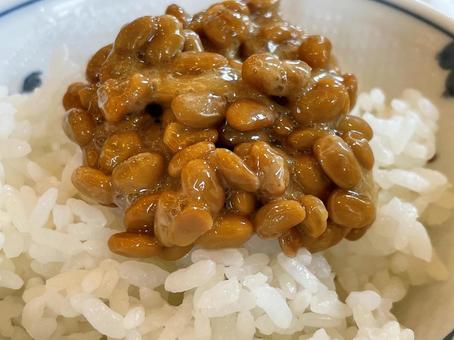 納豆かけご飯 納豆かけご飯 納豆ご飯,納豆かけご飯,納豆の写真素材