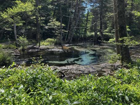Beautiful pond, JPG