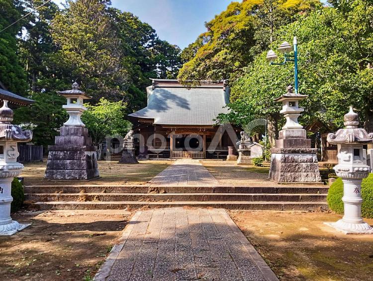 東大社拝殿 東大社,神社,東庄の写真素材