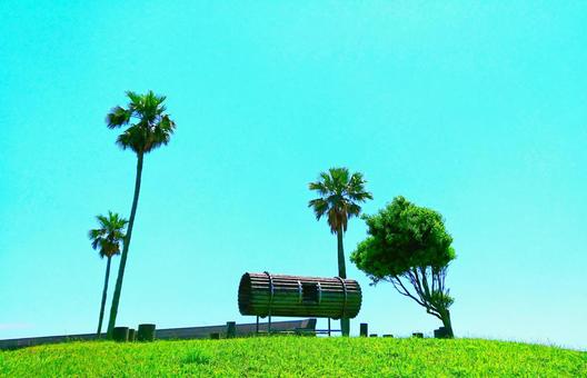 夏の陽気 夏の陽気の写真