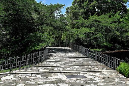 木々の多い新緑の公園の石畳 木々の多い新緑の公園の石畳 公園,自然,木々の写真素材