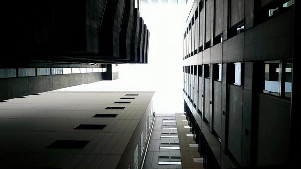 コンクリートジャングル コンクリートジャングル ビジネス街,オフィス街,街並みの写真素材