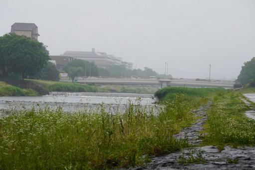 京都 鴨川の風景 京都 鴨川の風景の写真