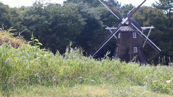 Aichi Park with Windmill Park Windmill Summer Day Green, JPG