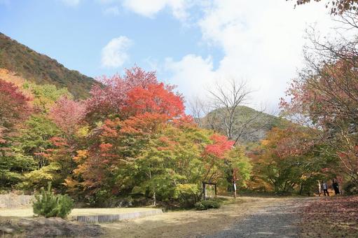 紅葉山公園の写真