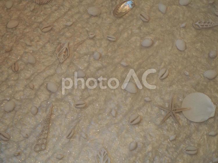 夏の背景　ヒトデ② 貝殻,ヒトデ,夏の写真素材
