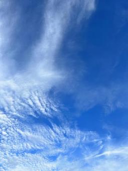秋の空 秋の空の写真