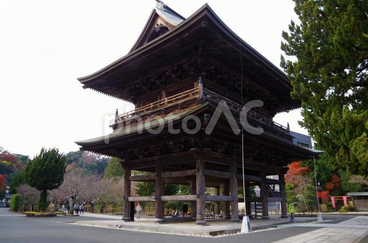 建長寺の紅葉　三門　（神奈川県鎌倉市） 建長寺,三門,山門の写真素材