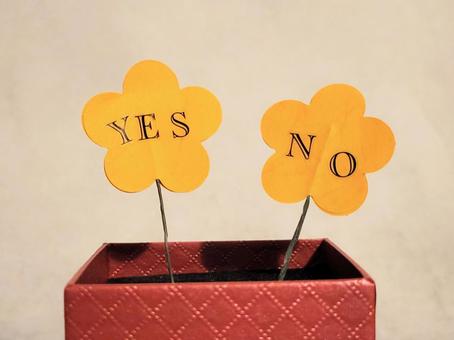 YES、NO二択 ok,ng,二択の写真素材