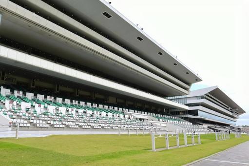 京都競馬場の応援スタンド・観覧エリア 京都競馬場,応援スタンド,芝生の写真素材