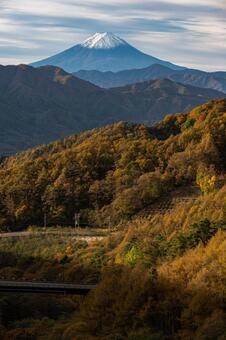 富士山と紅葉 富士山,紅葉,秋の写真素材