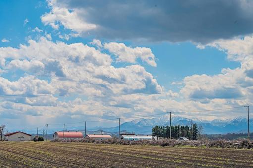 北海道 春先の風景 北海道 春先の風景の写真