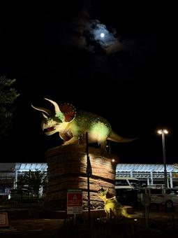 福井駅　夜の恐竜広場　トリケラトプス トリケラトプス,月,月光の写真素材