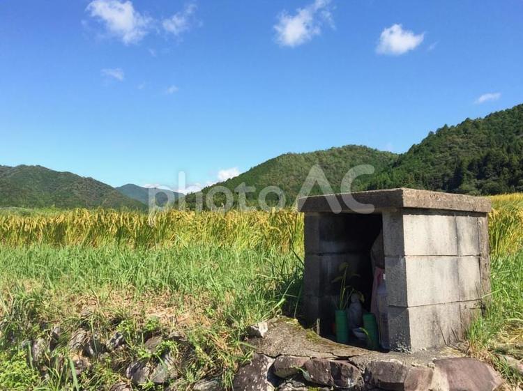 高知県の田園風景 田園,高知県,景色の写真素材