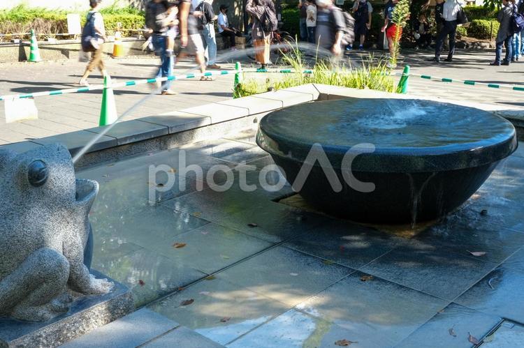 上野恩賜公園のカエル噴水 噴水,カエル,上野恩賜公園の写真素材