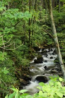 River in Sugadaira Plateau 2, JPG