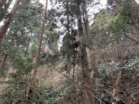茨城県筑波山の景色4 茨城県筑波山の景色4の写真