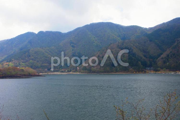 山梨県-精進湖 精進湖,湖,湖面の写真素材