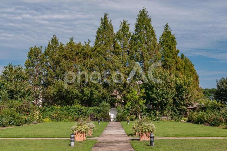 びわ湖大津館イングリッシュガーデンの径と芝生 庭園,庭,公園の写真素材