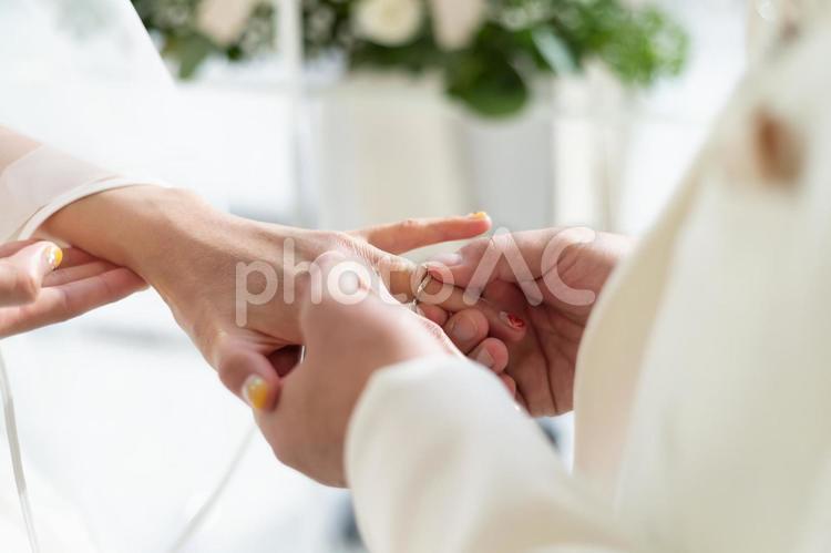 結婚式での指輪交換	 手,指輪,女性の写真素材