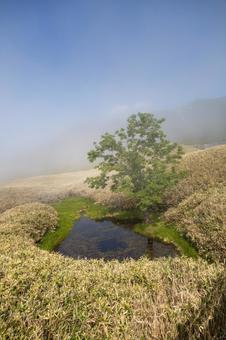 知床五湖の高架木道と霧と青空の写真