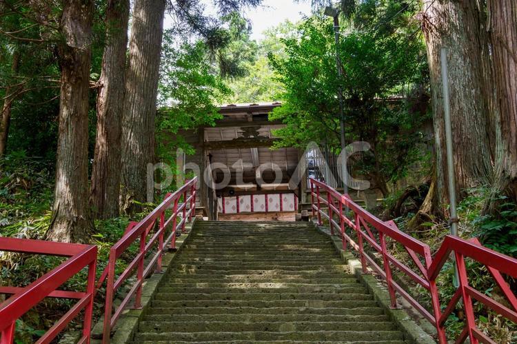 国分一宮諏訪神社⑹ 神社,国分一宮諏訪神社,神社仏閣の写真素材