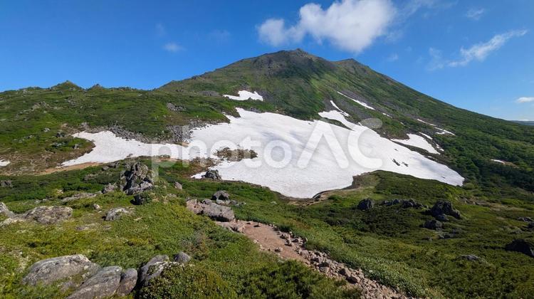 トムラウシ 北海道,森林,リフレッシュの写真素材