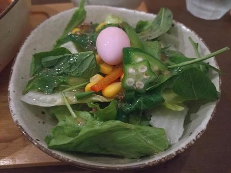 緑のサラダ 緑のサラダ サラダ,野菜,ウズラの卵の写真素材