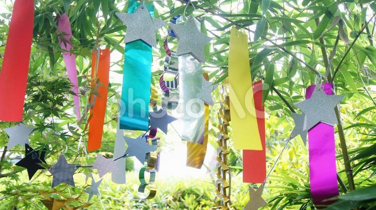 七夕のイメージ-5 七夕,七夕祭り,笹の写真素材