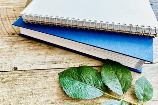 勉強や仕事のイメージ 勉強や仕事のイメージ 勉強,資格,資格取得の写真素材
