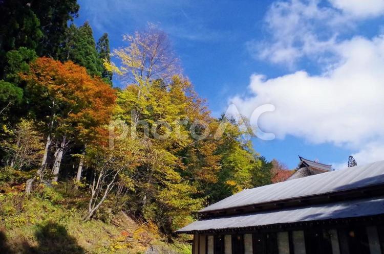 古民家のある風景 青空,雲,古民家の写真素材
