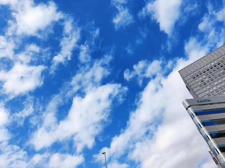 冬の青空と白い雲と高層ビル 青空,空,雲の写真素材