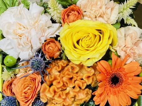オレンジ系花束 花束,花,贈り物の写真素材