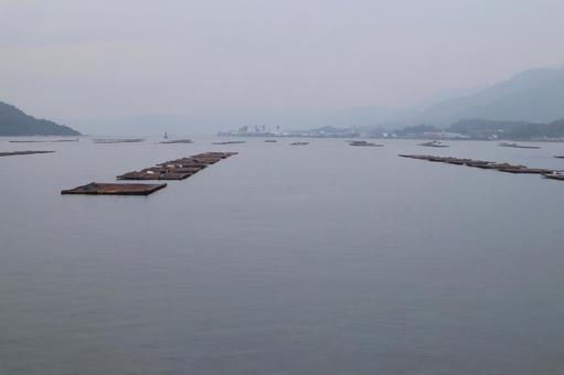 宮島フェリー 宮島フェリー 宮島,フェリー,海の写真素材