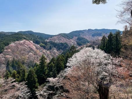 奈良の吉野 奈良の吉野の写真
