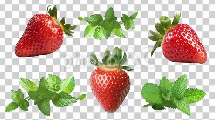 【PSD切り抜き】真っ赤な苺とミント 苺,果物,ミントの写真素材