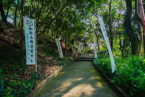 【和歌山】和歌山城 2025 【和歌山】和歌山城 2025の写真