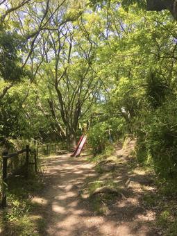 山の中の公園 公園,山,自然公園の写真素材